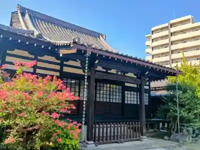 浄心寺(東京都)