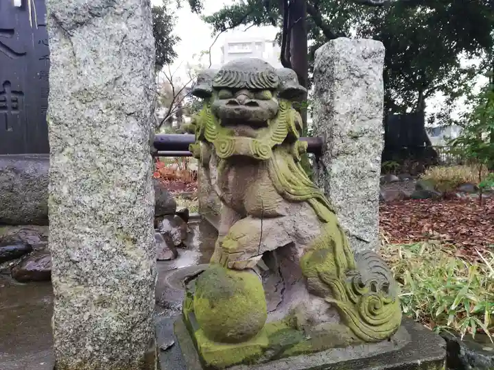 菊田神社の狛犬