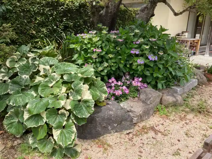 蓮花寺(東京都)