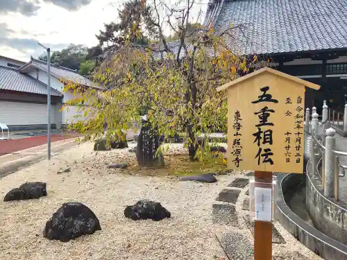 照源寺(三重県)