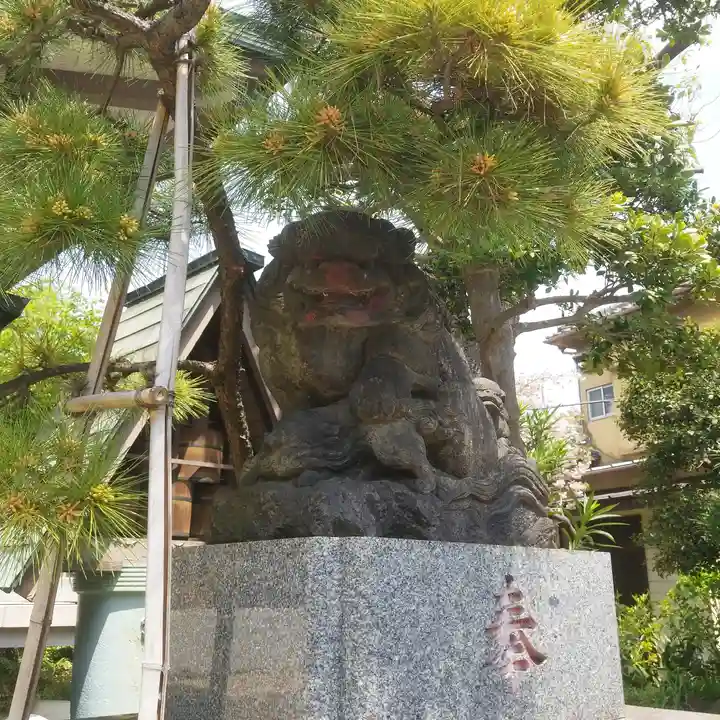 白髭神社の狛犬