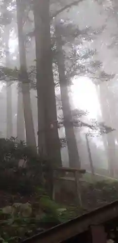 三峯神社の自然