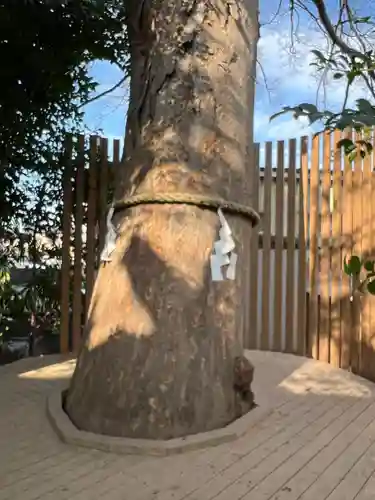 鎮守氷川神社の自然