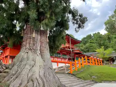 春日大社のその他建物