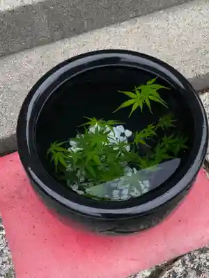 徳島眉山天神社の手水舎