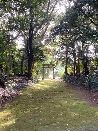 一之宮神社の建物その他