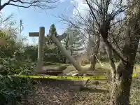 比婆山久米神社(奥の宮)の鳥居