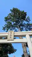 菊田神社の鳥居
