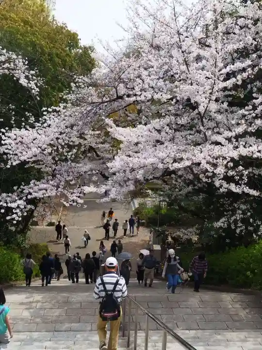 豊國神社の自然