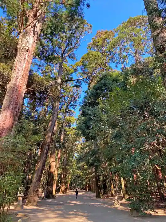 鹿島神宮の自然