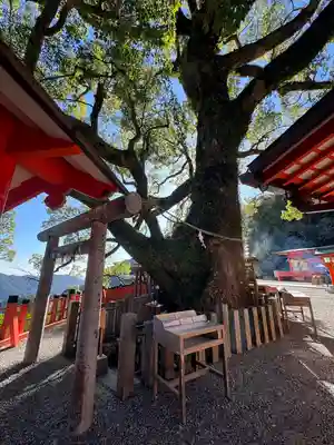 熊野那智大社(和歌山県)