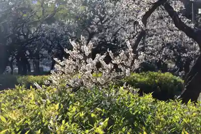 増上寺塔頭 三縁山 宝珠院(東京都)
