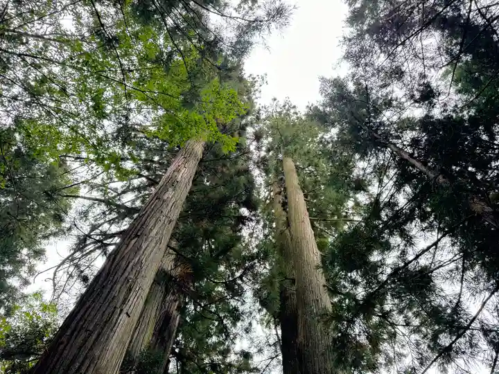 鹿島大神宮(福島県)