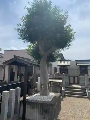 駅前神社(愛知県)