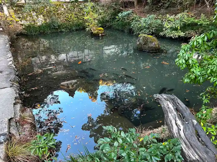 大縣神社の動物