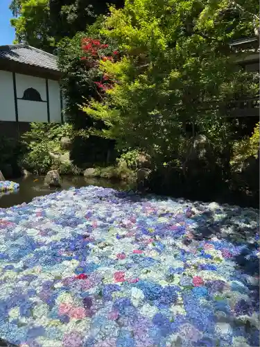 楽法寺（雨引観音）(茨城県)