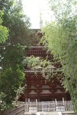當麻寺(奈良県)