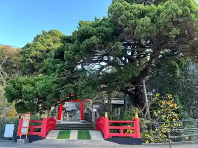 伊古奈比咩命神社(静岡県)