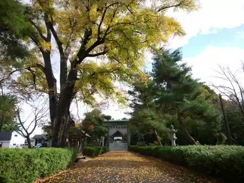 当別神社の自然