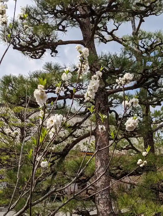 蓮華王院(三十三間堂)(京都府)