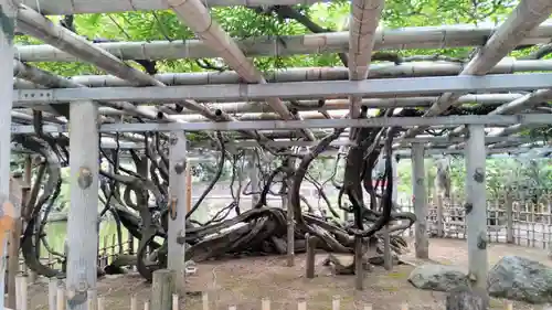 越ヶ谷久伊豆神社の庭園