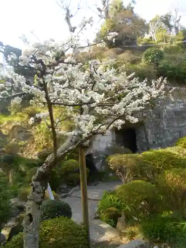 仏行寺（佛行寺）の庭園