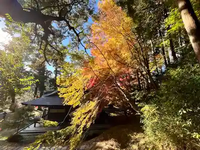 弘川寺(大阪府)