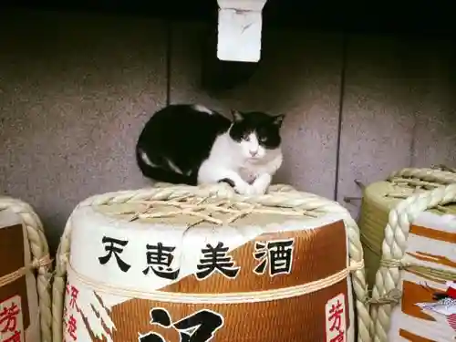 三宮神社の動物