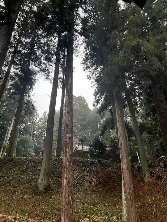 大宮温泉神社(栃木県)