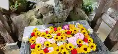 豊龍神社の手水