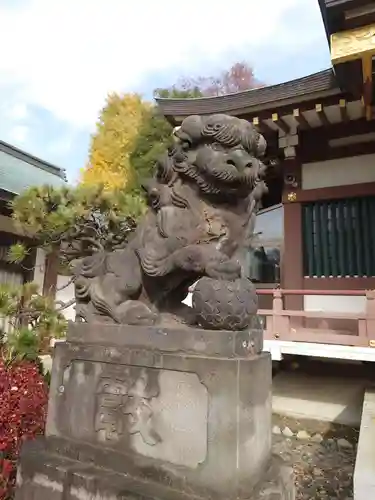 赤塚氷川神社の狛犬