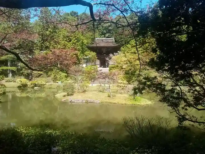 円成寺の庭園