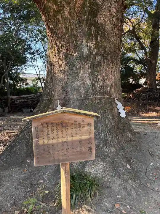 道明寺天満宮の自然