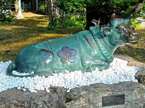 上川神社の狛犬