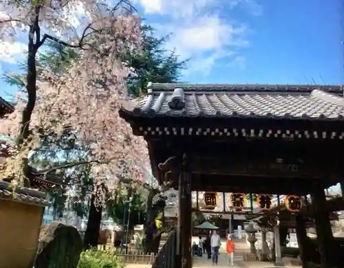 新井薬師（梅照院）(東京都)