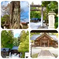 飛騨総社の本殿・本堂