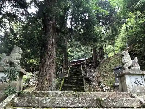 鬼神野神社の狛犬