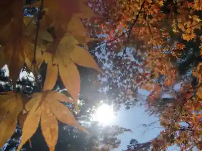 華厳寺(岐阜県)