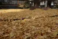 梅英寺(岐阜県)