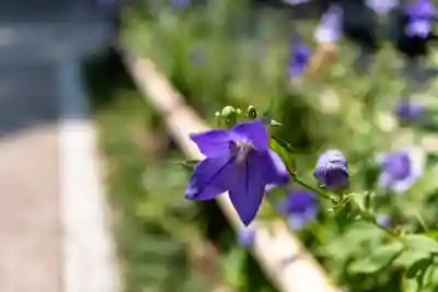 晴明神社(京都府)