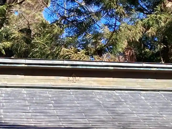 嶋々神社(長野県)