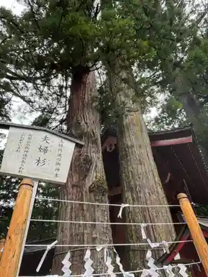 日光二荒山神社(栃木県)