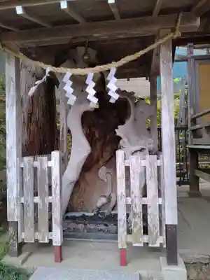 金蛇水神社(宮城県)