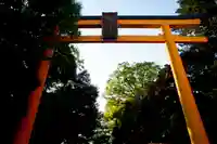 川越氷川神社の鳥居