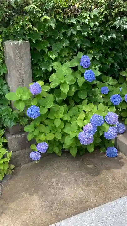 泥牛庵(神奈川県)