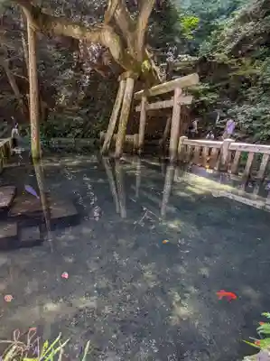 鹿島神宮(茨城県)