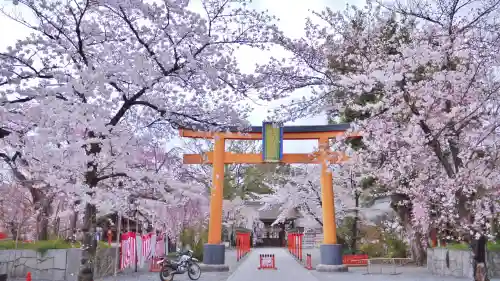 平野神社の鳥居