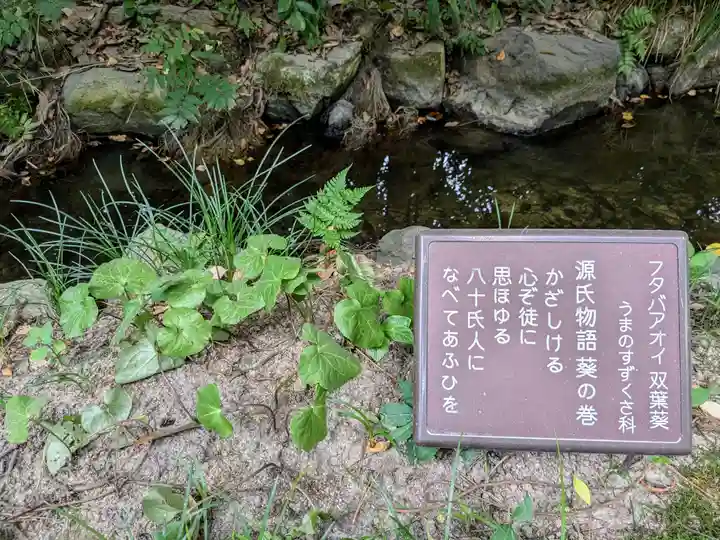 平安神宮(京都府)