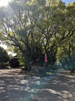 魚吹八幡神社(兵庫県)
