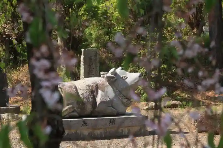 豊景神社の狛犬